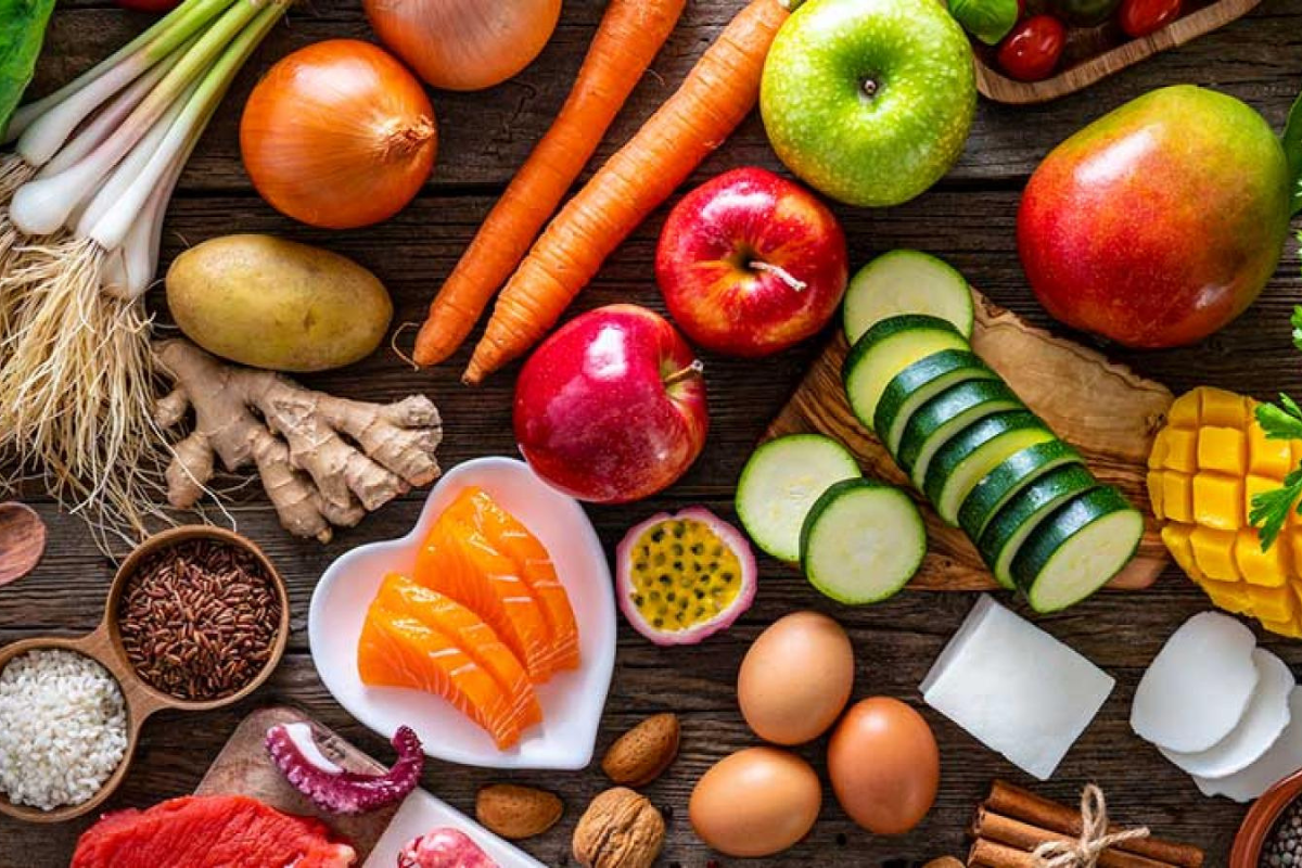 Professional Nutrition Therapy Services